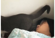 小姐姐巧妙放屁,小姐姐的幽默智慧